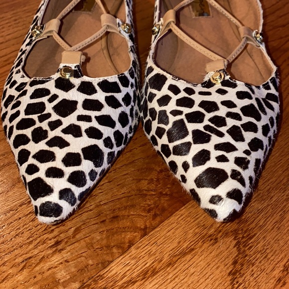 GENTLY USED HALOGEN OWEN GENUINE CALF HAIR FLATS - Picture 10 of 14